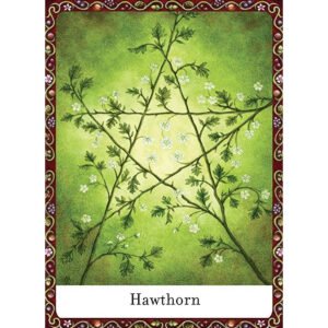 The Wisdom of Trees Oracle - Imagem 6