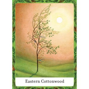 The Wisdom of Trees Oracle - Imagem 8