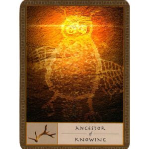 The Shaman's Oracle - Imagem 5