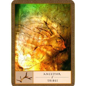 The Shaman's Oracle - Imagem 8
