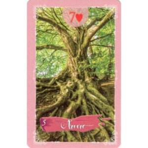 Sublime Lenormand - Imagem 3