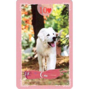Sublime Lenormand - Imagem 6