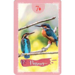Sublime Lenormand - Imagem 10