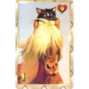 7 Vidas Lenormand - Imagem 3