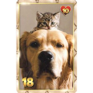 7 Vidas Lenormand - Imagem 5