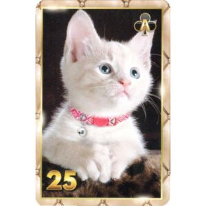 7 Vidas Lenormand - Imagem 7