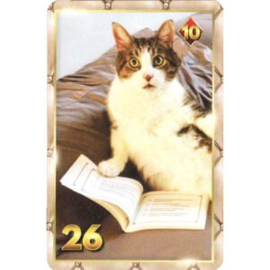 7 Vidas Lenormand - Imagem 8