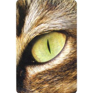 7 Vidas Lenormand - Imagem 10