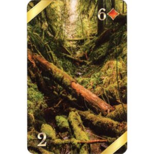 Fortuna Lenormand - Imagem 4
