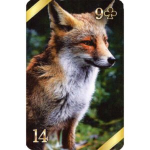 Fortuna Lenormand - Imagem 6