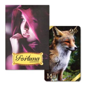 Fortuna Lenormand - Imagem 10