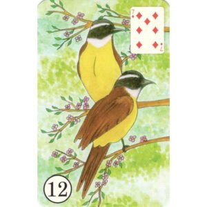 Coração Cigano Lenormand - Imagem 6