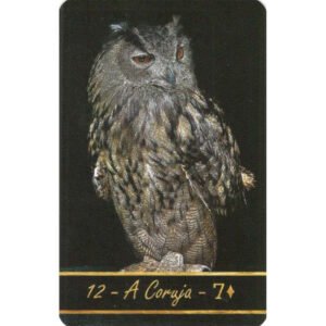 Baralho Dama da Noite - Imagem 4