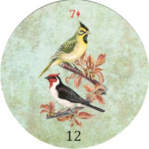Vintage Lenormand - Imagem 5