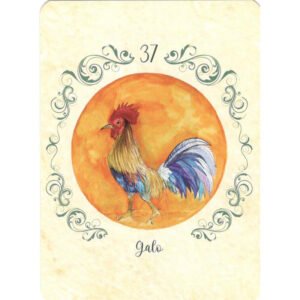 Sibila da Estrada (Livro + Cartas) - Imagem 8