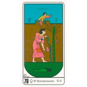 Tarô Egípcio Kier (Livro + Cartas) - Imagem 13