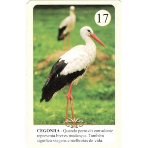 Romani Lenormand - Imagem 6