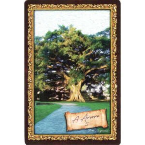 Axé Lenormand - Imagem 5