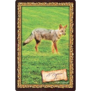 Axé Lenormand - Imagem 6