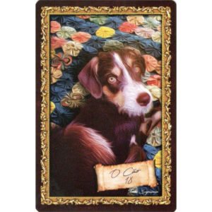 Axé Lenormand - Imagem 8