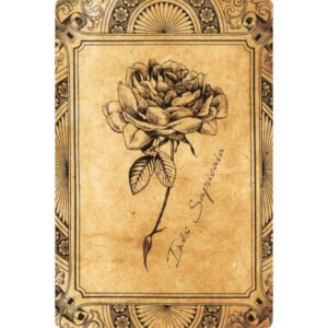 Axé Lenormand - Imagem 10