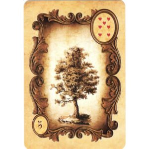 Kaspar Lenormand - Imagem 4