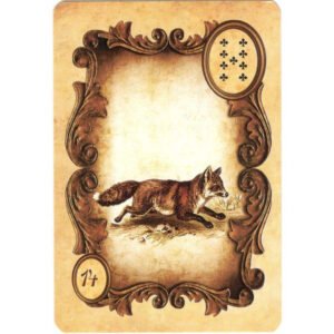 Kaspar Lenormand - Imagem 6