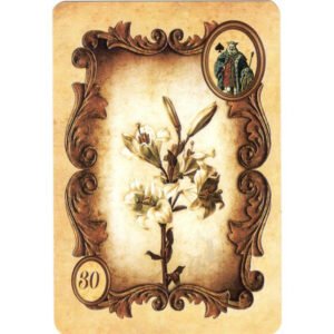 Kaspar Lenormand - Imagem 9