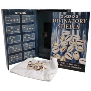 Búzios Divinatory Shells - Imagem 2