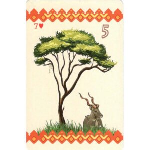 Savana Lenormand - Imagem 4