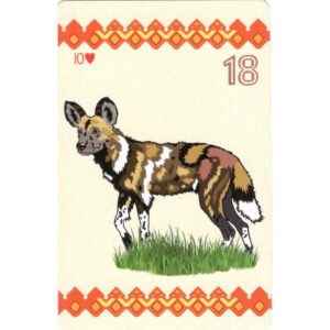 Savana Lenormand - Imagem 7