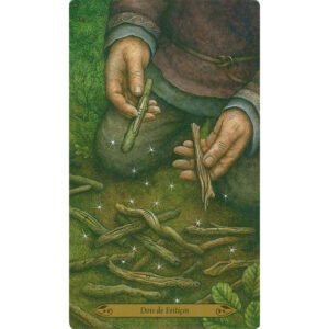 Floresta Encantada Tarô (Livro + Cartas) - Imagem 4