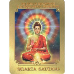 Em Sintonia com a Luz - Imagem 8