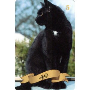 Baralho de Dona Maria Mulambo - Mini - Imagem 8