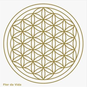 Gráfico Flor da Vida - PS - Imagem 1