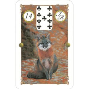 Baralho Cigano - Desvendando Caminhos - Imagem 7