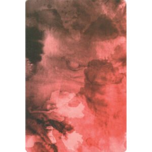 Oráculo da Mulher Selvagem (Livro + Cartas) - Imagem 10
