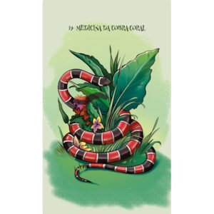 Cartas Xamânicas dos Animais (Livro + Cartas) - Imagem 4