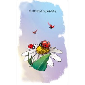 Cartas Xamânicas dos Animais (Livro + Cartas) - Imagem 5