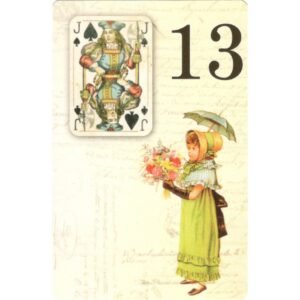 Arara Vermelha Lenormand - Imagem 3