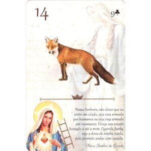 Nossa Senhora Lenormand - Imagem 3