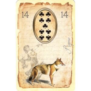 Kassandra Lenormand - Imagem 4