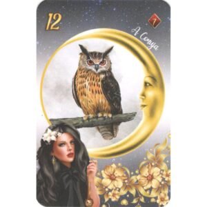 Cartas da Senhora Dama da Noite - Imagem 5