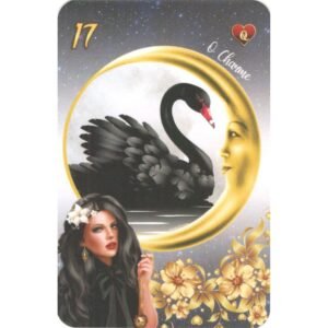 Cartas da Senhora Dama da Noite - Imagem 6