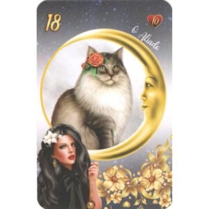 Cartas da Senhora Dama da Noite - Imagem 7