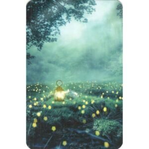 Cartas da Senhora Dama da Noite - Imagem 8