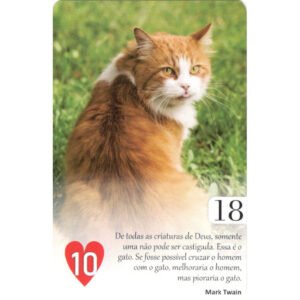 Paráfrase Lenormand - Imagem 6