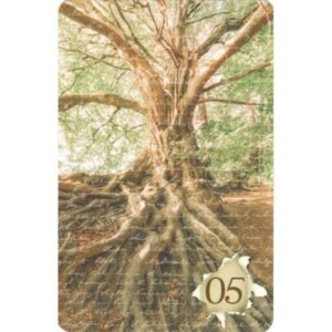 Indie Lenormand - Imagem 3