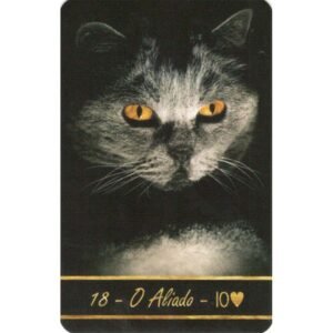 Dama da Noite com Bordas Douradas - Imagem 3