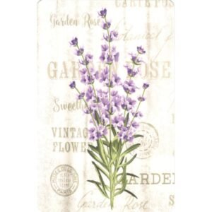 Lavanda Lenormand - Imagem 8